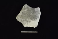 陶片藏品圖，第1張